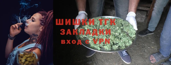apvp Богданович