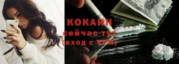 твердый Богородск