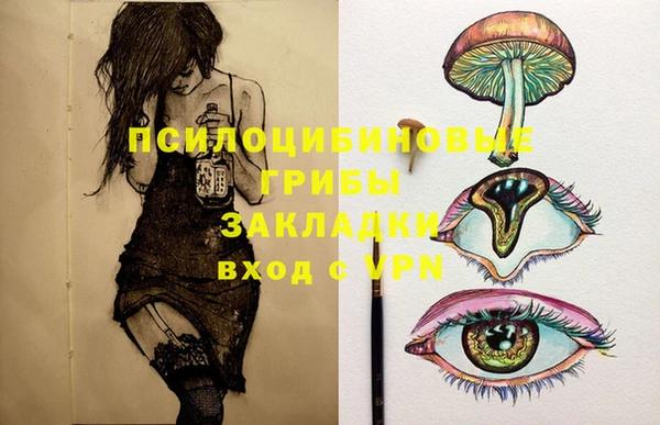 apvp Богданович