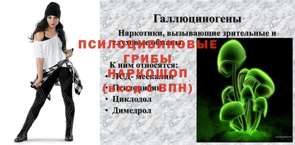 твердый Богородск