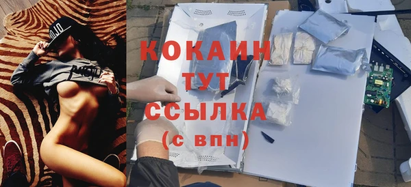 apvp Богданович