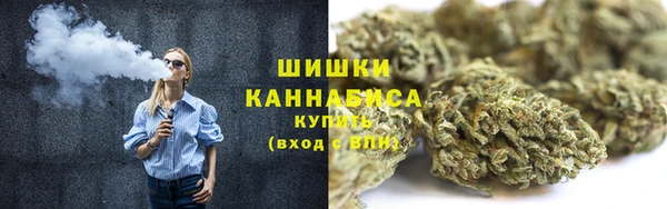 apvp Богданович