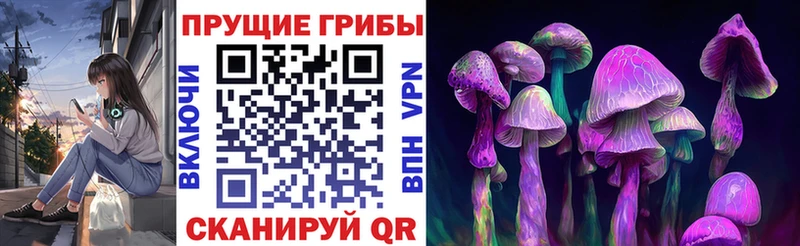 Купить закладки  Лянтор  Галлюциногенные грибы Cubensis 